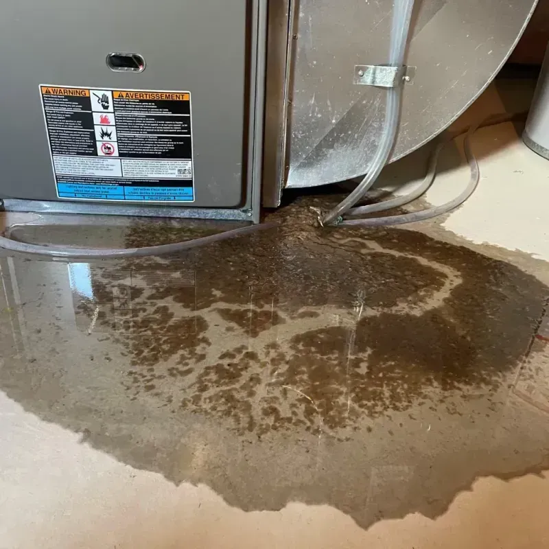 Appliance Leak Cleanup in Chadwicks, NY